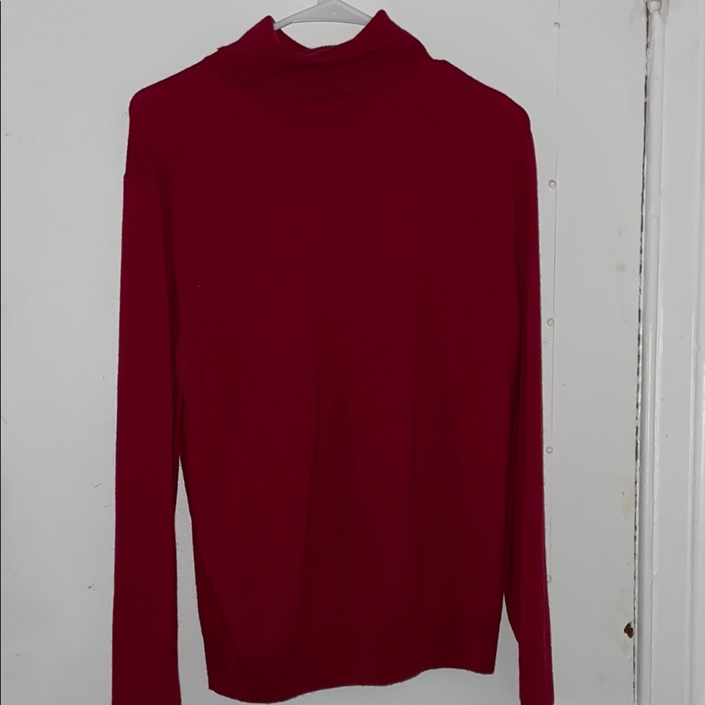 Red Turtleneck Banana Republic Sweater